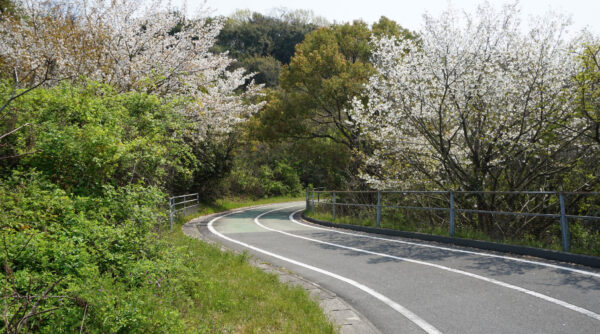 ohanami_cycling_09