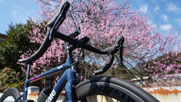 ohanami_cycling_06