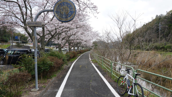 ohanami_cycling_08