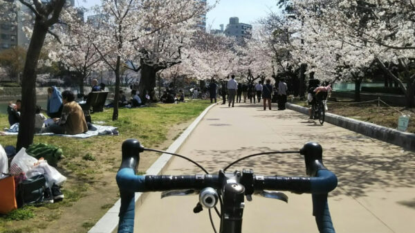 ohanami_cycling_05