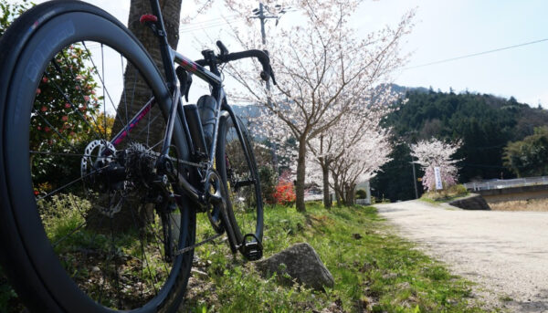 ohanami_cycling_02