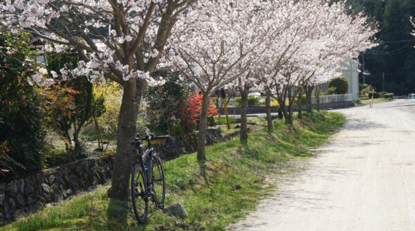 ohanami_cycling_03